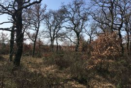 ISTRA, SMOLJANCI - Građevinsko i poljoprivredno zemljište T2 namjene, Svetvinčenat, Land