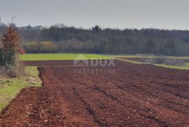 ISTRA, VIŠNJAN - Građevinsko i poljoprivredno u jednoj cjelini, Višnjan, Land