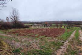 ISTRA, VIŠNJAN - Građevinsko i poljoprivredno u jednoj cjelini, Višnjan, Tierra