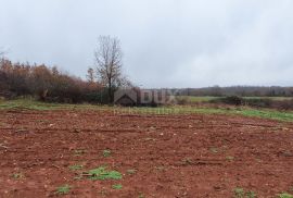 ISTRA, VIŠNJAN - Građevinsko i poljoprivredno u jednoj cjelini, Višnjan, Land