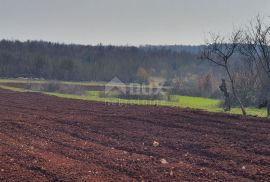 ISTRA, VIŠNJAN - Građevinsko i poljoprivredno u jednoj cjelini, Višnjan, Terreno