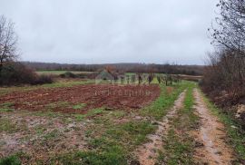 ISTRA, VIŠNJAN - Građevinsko i poljoprivredno u jednoj cjelini, Višnjan, Γη