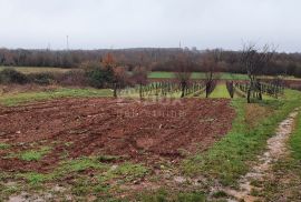 ISTRA, VIŠNJAN - Građevinsko i poljoprivredno u jednoj cjelini, Višnjan, Arazi