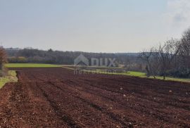 ISTRA, VIŠNJAN - Građevinsko i poljoprivredno u jednoj cjelini, Višnjan, Land