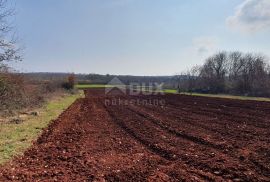 ISTRA, VIŠNJAN - Građevinsko i poljoprivredno u jednoj cjelini, Višnjan, Arazi