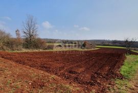 ISTRA, VIŠNJAN - Građevinsko i poljoprivredno u jednoj cjelini, Višnjan, Terreno