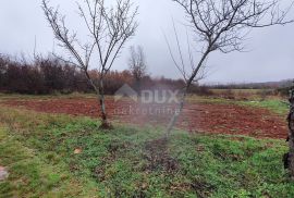 ISTRA, VIŠNJAN - Građevinsko i poljoprivredno u jednoj cjelini, Višnjan, Land