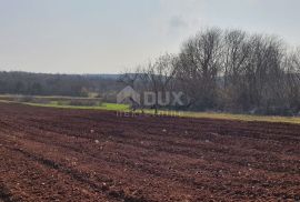 ISTRA, VIŠNJAN - Građevinsko i poljoprivredno u jednoj cjelini, Višnjan, Terreno