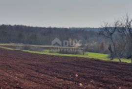 ISTRA, VIŠNJAN - Građevinsko i poljoprivredno u jednoj cjelini, Višnjan, Tierra