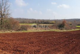 ISTRA, VIŠNJAN - Građevinsko i poljoprivredno u jednoj cjelini, Višnjan, Tierra