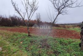 ISTRA, VIŠNJAN - Građevinsko i poljoprivredno u jednoj cjelini, Višnjan, Tierra