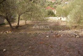 VELA LUKA -Predivno građevno zemljište blizu mora, Korčula, Land