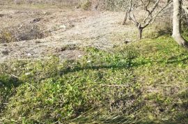 ISTRA, VIŽINADA - Prostrano građevinsko zemljište panoramskog pogleda, Vižinada, Terrain