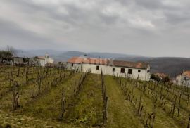 ISTRA, VIŽINADA - Prostrano građevinsko zemljište panoramskog pogleda, Vižinada, Terreno