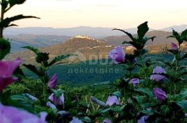 ISTRA, VIŽINADA - Apartmanska kuća s 5 apartmana, panoramski pogled, Vižinada, بيت