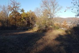 ISTRA, VIŽINADA - Prostrano građevinsko zemljište na osami s panoramskim pogledom, Vižinada, Terreno