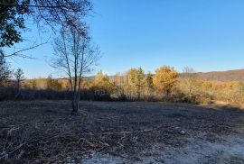 ISTRA, VIŽINADA - Prostrano građevinsko zemljište na osami s panoramskim pogledom, Vižinada, أرض