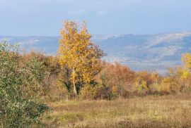 ISTRA, VIŽINADA - Prostrano građevinsko zemljište na osami s panoramskim pogledom, Vižinada, Tierra