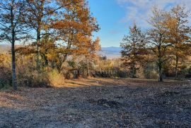 ISTRA, VIŽINADA - Prostrano građevinsko zemljište na osami s panoramskim pogledom, Vižinada, Terra