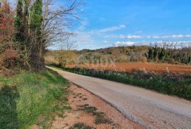 ISTRA, KAROJBA - Prostrano građevinsko zemljište (5000m2) za gradnju turističkih naselja otvorenog pogleda + poljoprivredno, Karojba, Γη