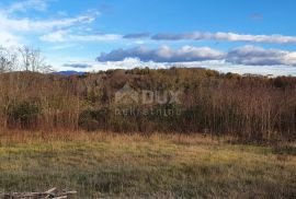 ISTRA, KAROJBA - Prostrano građevinsko zemljište (5000m2) za gradnju turističkih naselja otvorenog pogleda + poljoprivredno, Karojba, Terrain