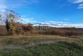 ISTRA, KAROJBA - Prostrano građevinsko zemljište (5000m2) za gradnju turističkih naselja otvorenog pogleda + poljoprivredno, Karojba, Γη