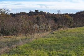 ISTRA, KAROJBA - Prostrano građevinsko zemljište (5000m2) za gradnju turističkih naselja otvorenog pogleda + poljoprivredno, Karojba, Land