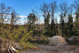 ISTRA, KAROJBA - Prostrano građevinsko zemljište (5000m2) za gradnju turističkih naselja otvorenog pogleda + poljoprivredno, Karojba, Terreno