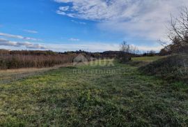 ISTRA, KAROJBA - Prostrano građevinsko zemljište (5000m2) za gradnju turističkih naselja otvorenog pogleda + poljoprivredno, Karojba, Terrain