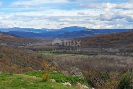 ISTRA, GROŽNJAN - Imanje na uzvisini, savršena lokacija, kompleks zemljišta, kamene kuće, panoramski pogledi sa svih strana - Rijetkost na tržištu!!, Grožnjan, Tierra