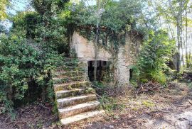 ISTRA, PIĆAN imanje s prekrasnim pogledom i ruševnom kamenom kućom, Pićan, Terrain