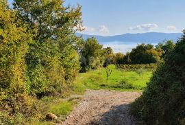 ISTRA, PIĆAN imanje s prekrasnim pogledom i ruševnom kamenom kućom, Pićan, Arazi