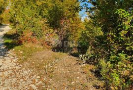 ISTRA, PIĆAN imanje s prekrasnim pogledom i ruševnom kamenom kućom, Pićan, Terra