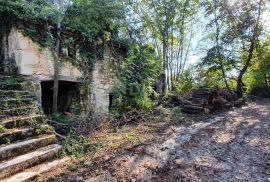 ISTRA, PIĆAN imanje s prekrasnim pogledom i ruševnom kamenom kućom, Pićan, Terrain