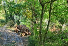 ISTRA, PIĆAN imanje s prekrasnim pogledom i ruševnom kamenom kućom, Pićan, Land