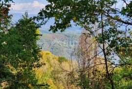 ISTRA, PIĆAN imanje s prekrasnim pogledom i ruševnom kamenom kućom, Pićan, Terra