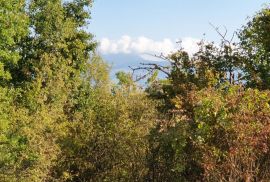 ISTRA, PIĆAN imanje s prekrasnim pogledom i ruševnom kamenom kućom, Pićan, Terra