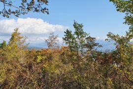 ISTRA, PIĆAN imanje s prekrasnim pogledom i ruševnom kamenom kućom, Pićan, Земля