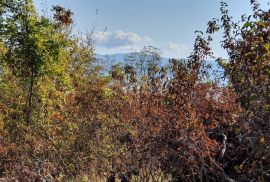 ISTRA, PIĆAN imanje s prekrasnim pogledom i ruševnom kamenom kućom, Pićan, Terra