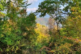 ISTRA, PIĆAN imanje s prekrasnim pogledom i ruševnom kamenom kućom, Pićan, Arazi