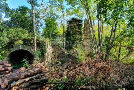 ISTRA, PIĆAN imanje s prekrasnim pogledom i ruševnom kamenom kućom, Pićan, Terrain