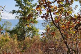 ISTRA, PIĆAN imanje s prekrasnim pogledom i ruševnom kamenom kućom, Pićan, أرض