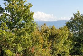 ISTRA, PIĆAN imanje s prekrasnim pogledom i ruševnom kamenom kućom, Pićan, Terrain