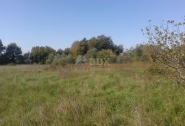 ISTRA, BARBAN - Građevinsko zemljište 901 m2, Barban, Land