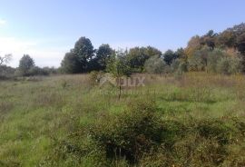 ISTRA, BARBAN - Građevinsko zemljište 901 m2, Barban, Terrain