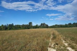 ISTRA - ŠIŠAN, poljoprivredno zemljište 800m2, Ližnjan, Terrain