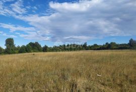 ISTRA - ŠIŠAN, poljoprivredno zemljište 800m2, Ližnjan, Terrain