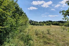 ISTRA, ŠUMBER - Zemljište na rubu građevinskog područja, Sveta Nedelja, Tierra