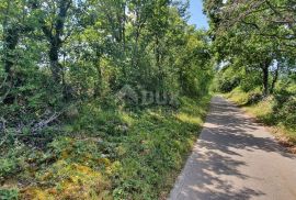 ISTRA, ŠUMBER - Zemljište na rubu građevinskog područja, Sveta Nedelja, Arazi