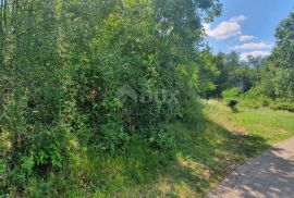 ISTRA, ŠUMBER - Zemljište na rubu građevinskog područja, Sveta Nedelja, Land